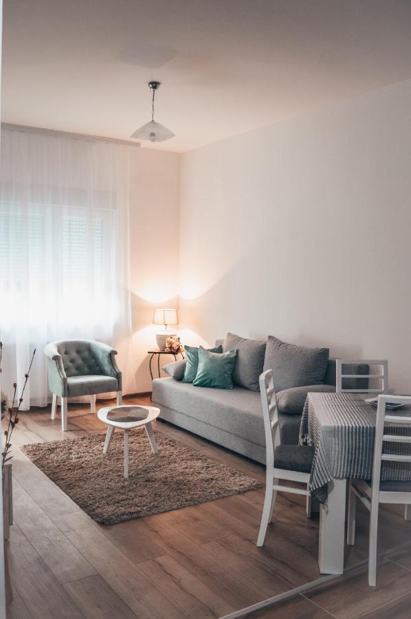 Apartment Lena Banja Koviljaca