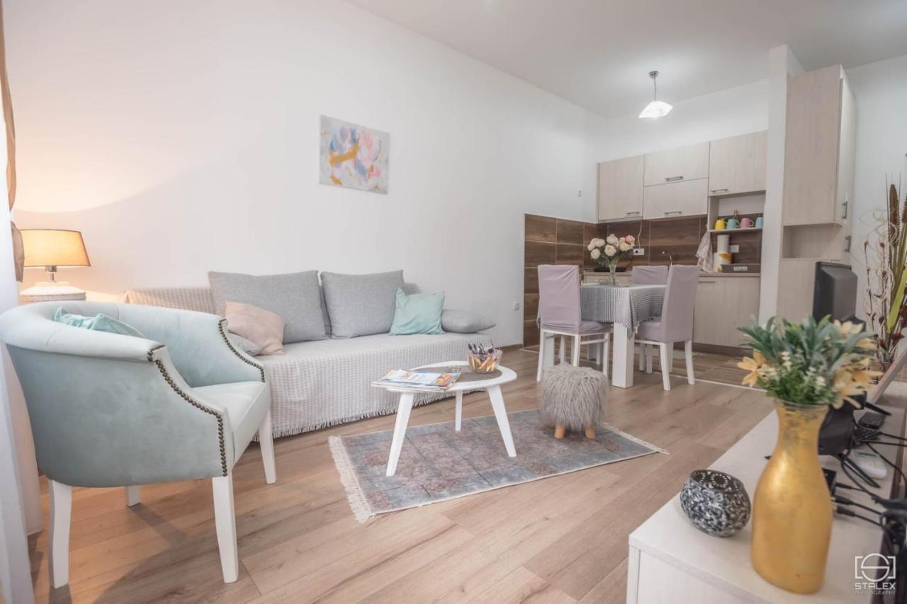 Lena Apartment Banja Koviljaca