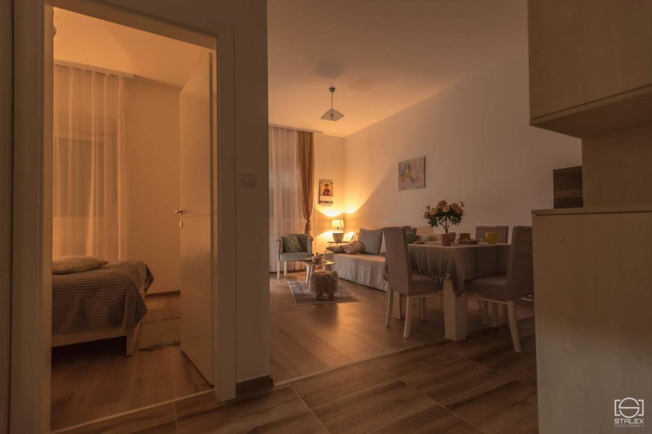 Lena Apartment Banja Koviljaca