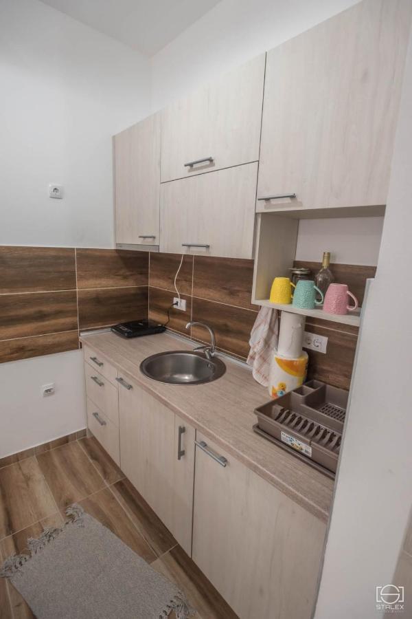 Lena Apartment Banja Koviljaca
